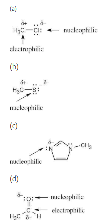 <p><span>Keep in mind:</span></p><p style="text-align: left"></p><table style="min-width: 25px"><colgroup><col style="min-width: 25px"></colgroup><tbody><tr><td colspan="1" rowspan="1" style="box-sizing: border-box; padding: 0.45em; line-height: 1.1em; text-align: left; vertical-align: middle; border: 0px none black; width: 631.055px; height: 28px;"><p>(1) An electrophile is electron-poor, either because it is positively charged, because it has a functional group that is positively polarized, or because it has a vacant orbital.</p></td></tr><tr><td colspan="1" rowspan="1" style="box-sizing: border-box; padding: 0.45em; line-height: 1.1em; text-align: left; vertical-align: middle; border: 0px none black; width: 631.055px; height: 28px;"><p>(2) A nucleophile is electron-rich, either because it has a negative charge, because it has a functional group containing a lone electron pair, or because it has a functional group that is negatively polarized.</p></td></tr><tr><td colspan="1" rowspan="1" style="box-sizing: border-box; padding: 0.45em; line-height: 1.1em; text-align: left; vertical-align: middle; border: 0px none black; width: 631.055px; height: 123px;"><p>(3) Some molecules can act as both nucleophiles and electrophiles, depending on the reaction conditions.</p><p style="text-align: left"></p><p style="text-align: left">(a) The electron-poor carbon acts as an electrophile.</p><p style="text-align: left">(b) CH<sub>3</sub>S<sup>–</sup> is a nucleophile because of the sulfur lone-pair electrons and because it is negatively charged.</p><p style="text-align: left">(c) C<sub>4</sub>H<sub>6</sub>N<sub>2</sub> is a nucleophile because of the lone-pair electrons of nitrogen. (Only one of the nitrogens is nucleophilic, for reasons that will be explained in a later chapter.)</p><p style="text-align: left">(d) CH<sub>3</sub>CHO is both a nucleophile and an electrophile because of its polar C=O bond.</p></td></tr></tbody></table><p></p>