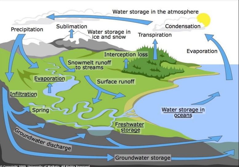 <p><strong><u>Where is Earth’s Water?</u> (GRAPH 1)</strong></p><ul><li><p>96.5% of it is in the oceans</p></li><li><p>Only 2.5% is freshwater</p><ul><li><p>Of this</p><ul><li><p>68.7% is trapped in glaciers and ice caps</p></li><li><p>30.1% is groundwater</p></li><li><p>Only 1.2% of this water is on the SURFACE</p></li></ul></li></ul></li><li><p>Of this 1.2% Surface Freshwater</p><ul><li><p>70% of it (surface fresh-water) is trapped in ground ice and permafrost</p><ul><li><p>Perpetually frozen, sometimes when it thaws there will be flowage into rivers and lakes but not super significant</p></li><li><p>A lot of methane is locked up in this permafrost</p></li></ul></li><li><p>21% of it is found in lakes</p><p></p></li></ul></li></ul><p><strong><u>Basic Hydrological Cycle AKA Water Cycle</u> (GRAPH 2)</strong></p><ul><li><p>Describes how water moves from one place/medium to another</p></li><li><p>Evaporation, precipitation (hail, snow, rain)</p></li><li><p>Reservoirs or stocks of water known as “freshwater storage” in reservoirs</p></li><li><p>Arrows on diagram are “FLOWS” where water either changes forms or moves from one place to another</p></li><li><p>Scientists make use of this diagram by monitoring how reservoirs change</p></li><li><p><strong>CLOUD FOREST</strong></p><ul><li><p>A type of tropical rainforest where it is brush enough that it will transpire so much that the moisture/water vapor concentration above the forest itself condenses into clouds which results in a constant cycle of rain going back up and down</p></li></ul></li></ul><p></p><p>1. <strong>Water Storage in the Atmosphere</strong></p><ul><li><p>Water exists in the atmosphere as water vapor.</p></li></ul><p>2. <strong>Precipitation</strong></p><ul><li><p>Water falls to the Earth's surface as rain, snow, sleet, or hail.</p></li></ul><p>3.<strong> Water Storage in Ice and Snow</strong></p><ul><li><p>Some precipitation accumulates in glaciers and ice caps.</p></li></ul><p>4. <strong>Sublimation</strong></p><ul><li><p>Ice and snow convert directly into water vapor without becoming liquid.</p></li></ul><p>5. <strong>Snowmelt Runoff</strong></p><ul><li><p>Melting snow flows into rivers and streams.</p></li></ul><p>6. <strong>Interception Loss</strong></p><ul><li><p>Some precipitation is caught by vegetation and evaporates back into the atmosphere.</p></li></ul><p>7. <strong>Transpiration</strong></p><ul><li><p>Plants release water vapor into the air.</p></li></ul><p>8. <strong>Evaporation</strong></p><ul><li><p>Water from lakes, rivers, and oceans turns into vapor due to heat.</p></li></ul><p>9. <strong>Condensation</strong></p><ul><li><p>Water vapor cools and turns into liquid droplets, forming clouds.</p></li></ul><p>10. <strong>Surface Runoff</strong></p><ul><li><p>Water that doesn’t infiltrate the ground flows over land into rivers and lakes.</p></li></ul><p>11. <strong>Infiltration</strong></p><ul><li><p>Water soaks into the soil and replenishes groundwater.</p></li></ul><p>12. <strong>Groundwater Storage</strong></p><ul><li><p>Water is stored underground in aquifers.</p></li></ul><p>13. <strong>Groundwater Discharge</strong></p><ul><li><p>Groundwater flows back into lakes, rivers, and oceans, continuing the cycle.</p></li></ul><p>14. <strong>Freshwater Storage</strong></p><ul><li><p>Some water is temporarily stored in lakes and reservoirs before continuing the cycle.</p></li></ul><p></p>