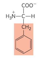 <p>Phe, F, aromatic </p>