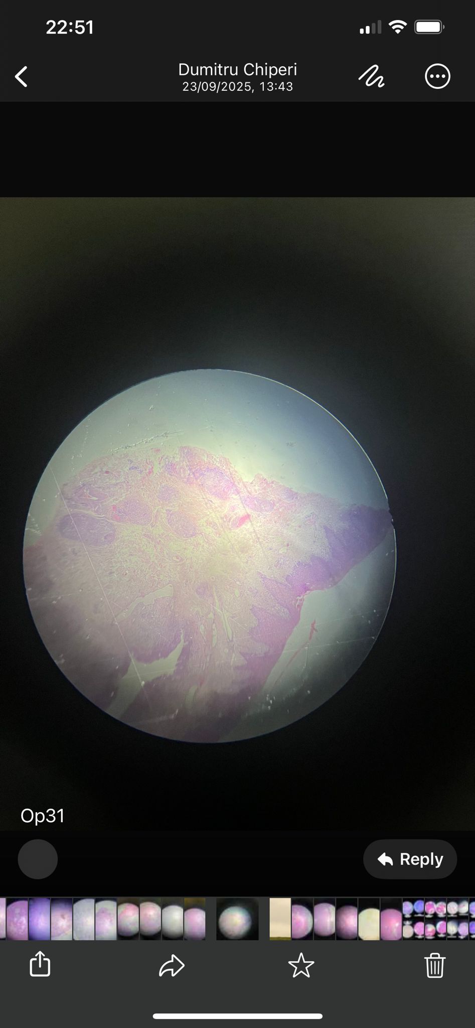 knowt flashcard image