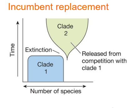 <p>a taxon takes advantage of the other’s absence</p>