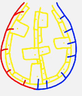 <ul><li><p>week 36- 8yrs</p></li><li><p>increased number of primitive alveoli become specialised</p></li><li><p>mature alveoli develop septa→ increases surface area</p></li><li><p>at birth→ 100mln primitive alveoli</p></li><li><p>8 years→ 300mln primitive alveoli</p></li></ul><p></p>