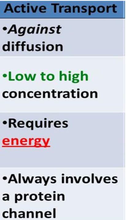 <p>require the cell’s energy, low to high concentration, works against diffusion</p>