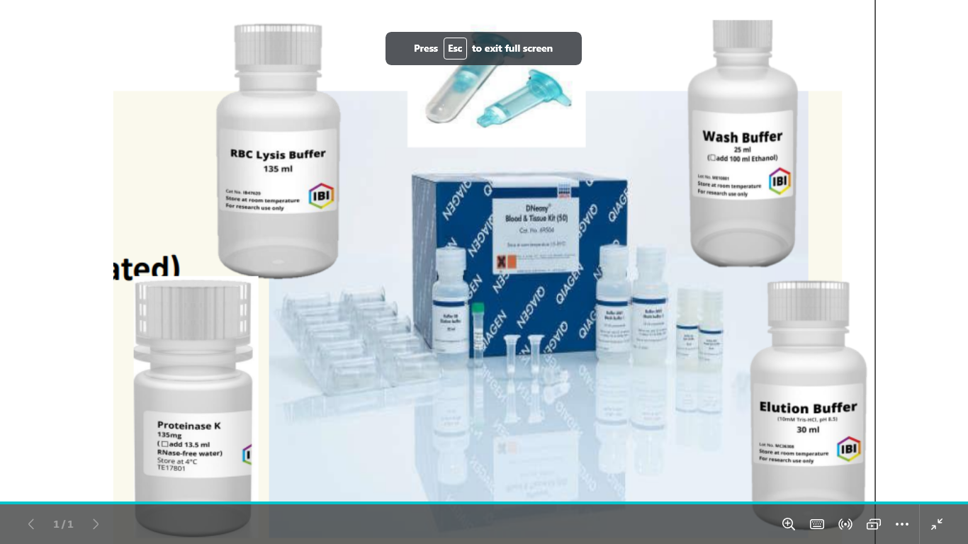 <p>components of dna extraction kit  6</p>