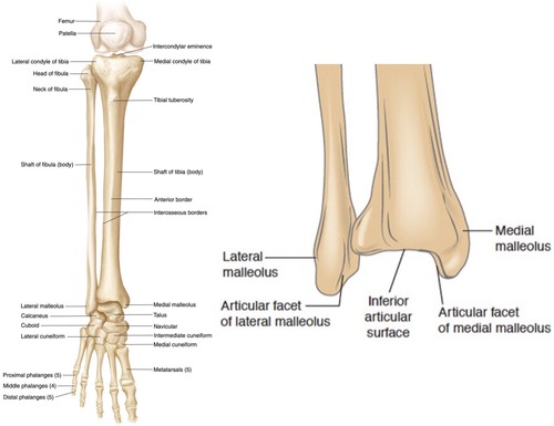term image