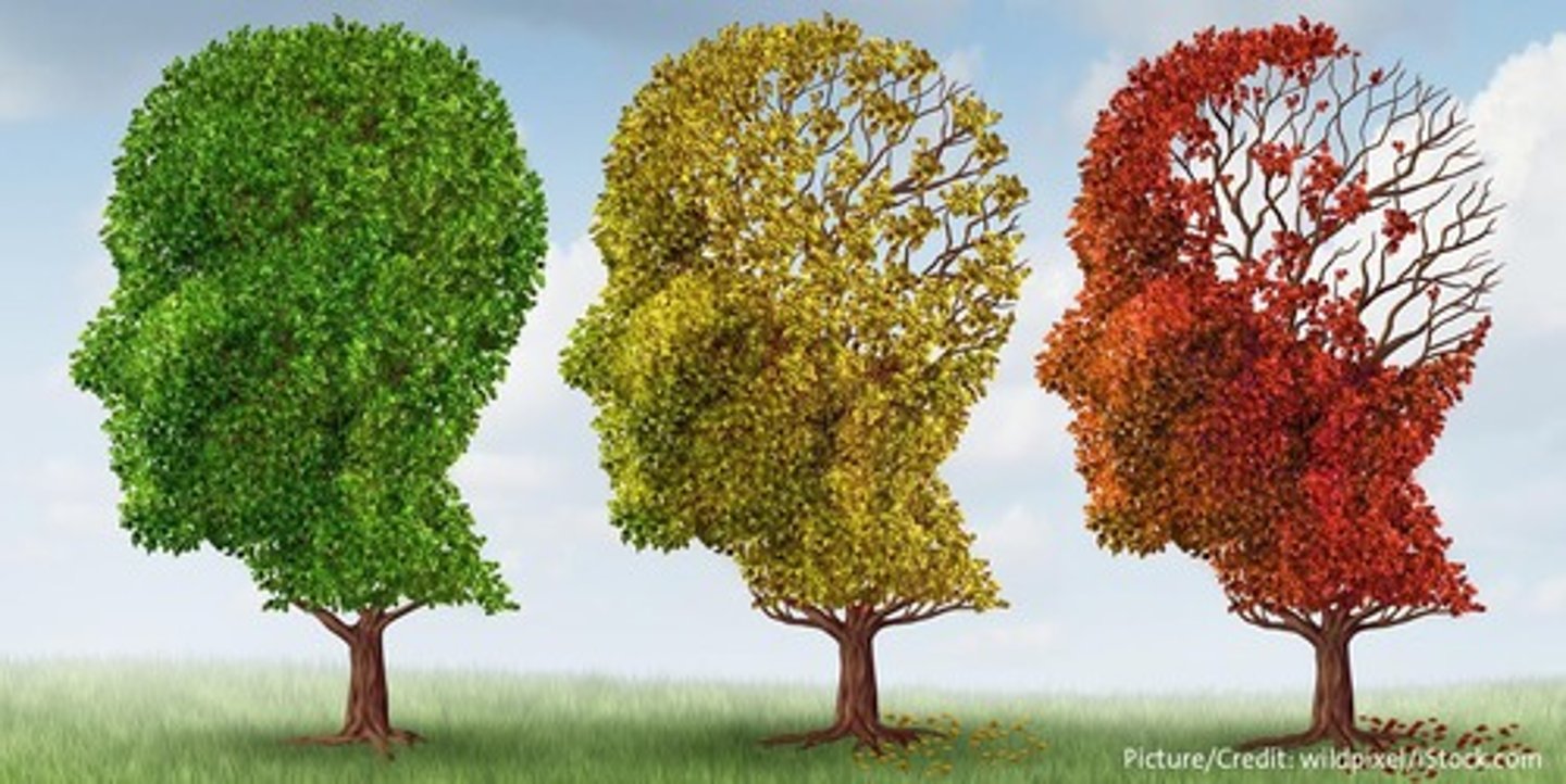 <p>- Impaired working memory and inhibitory control</p><p>- Slower processing speed</p><p>- Age associated memory impairments</p><p>- Benign senescent forgetfulness (senior moments, can't recall that name of that one actor)</p>