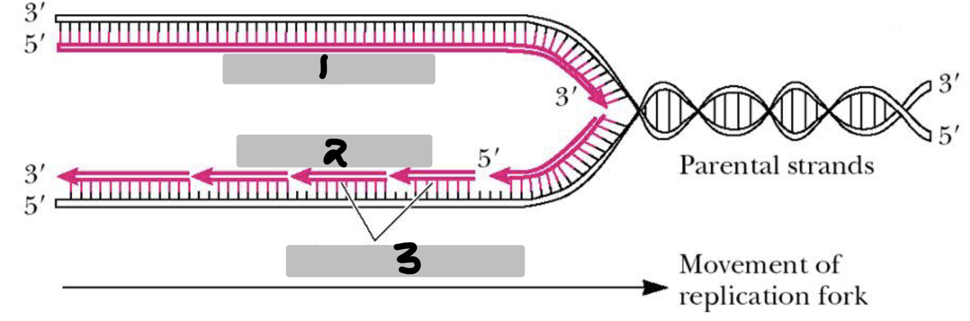 <p>Fill in the blanks.</p>