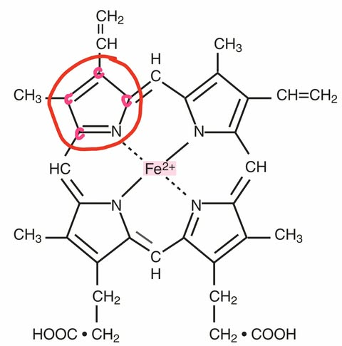 <p>5-membered heterocyclic ring that involves the nitrogen (N) that binds to iron</p>