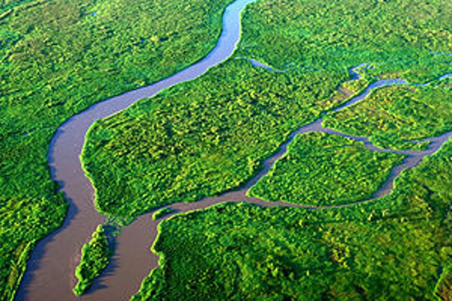 <p>A small stream which joins a larger river.</p>