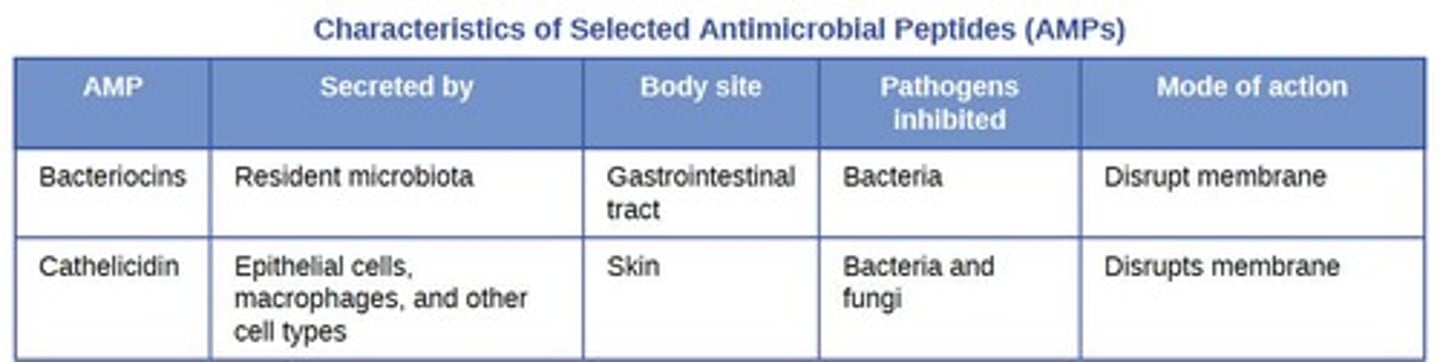 <p>Cell-derived mediators with broad-spectrum antimicrobial properties.</p>