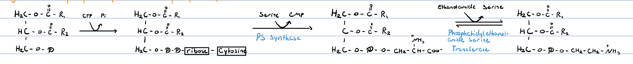knowt flashcard image