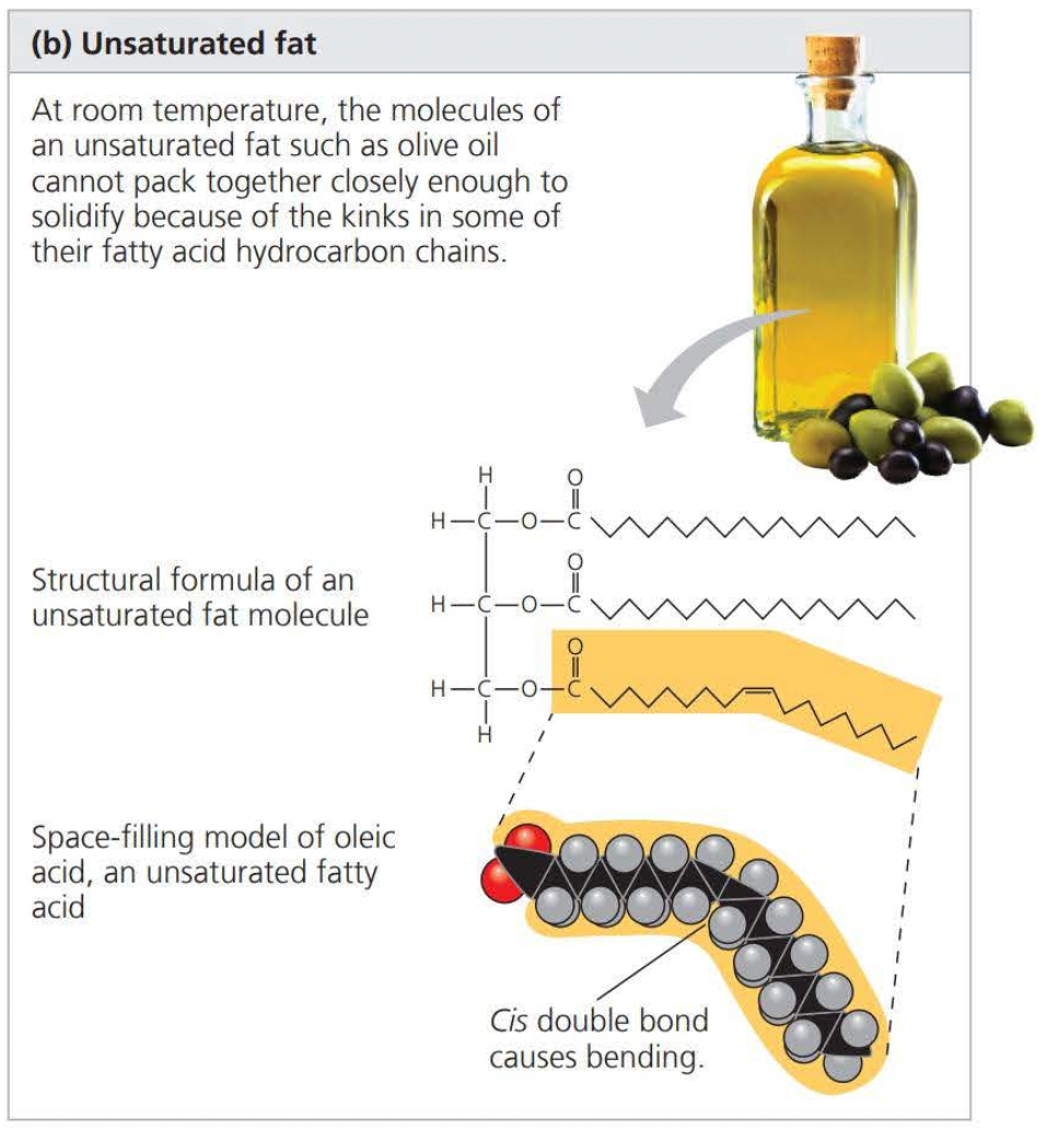Unsaturated fats find it difficult to solidify due to the bent nature of the unsaturated carbon chain, therefore, leaving space between the fatty acids and making it very difficult for the fat to stay in a fixed shape