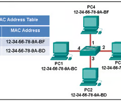 <p></p><p><strong>The switch will forward the frame to all ports except port 4.</strong></p>