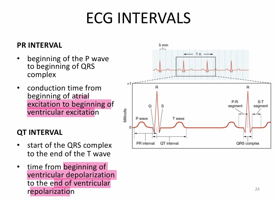<p>I didn’t really draw this<br></p><p><span style="color: #00ffe0">(don’t really memorize)</span></p>