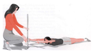 <p>Position: Prone-lying, arms extended and holding a stick.</p><p>Instruction: Lift the stick as much as possible, keep your head down and keep your wrists straight (neutral). </p><p>Measure the distance from the stick to the floor.</p>