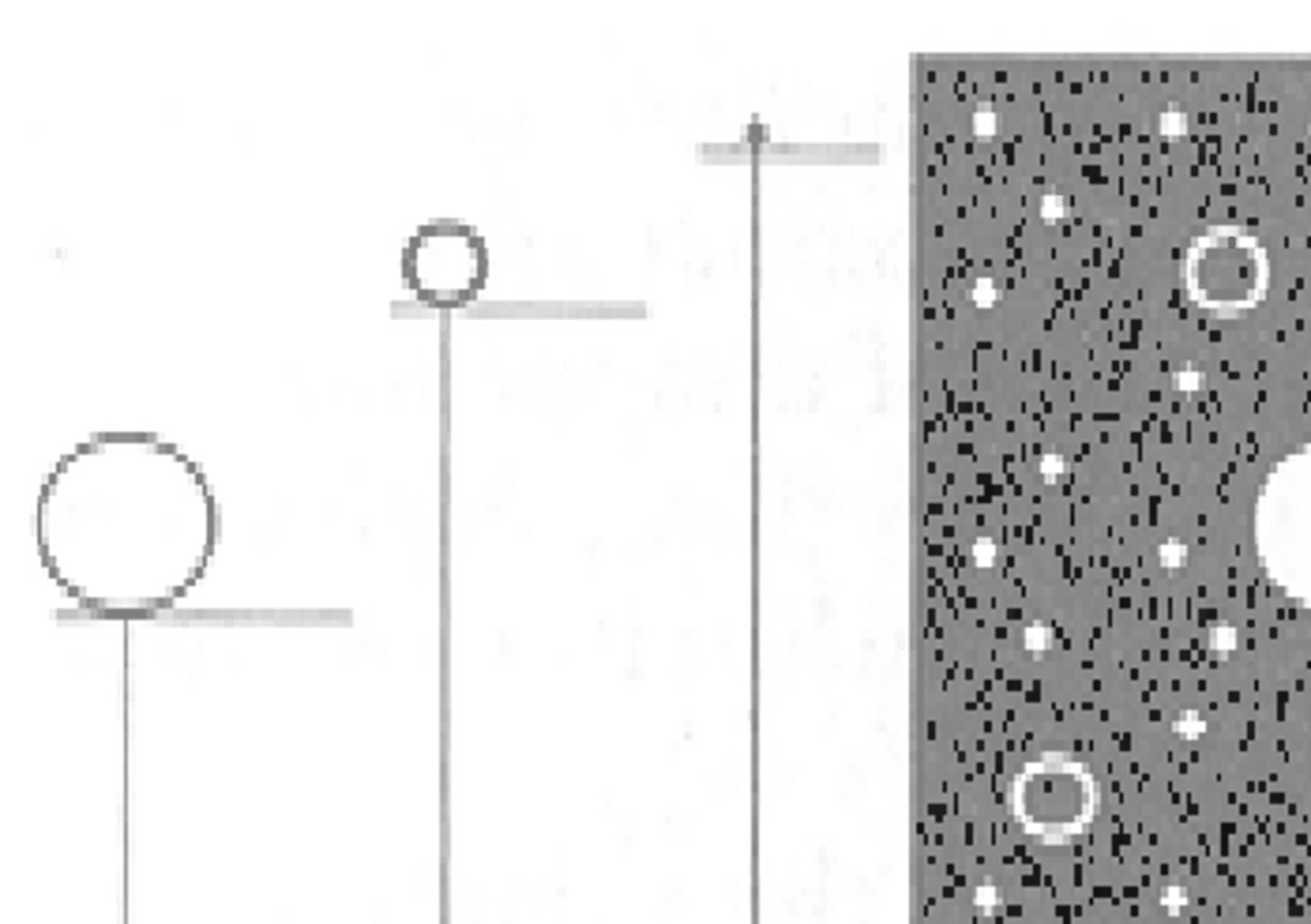 <p>Observed extinction may precede true extinction</p>