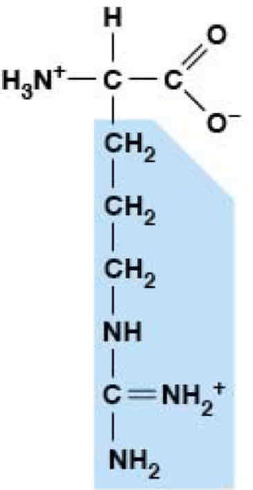 <p>Polar, Charged (Hydrophobic)</p>