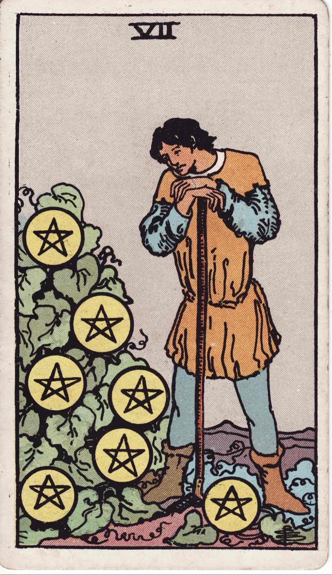 <p>Seven of Pentacles</p>