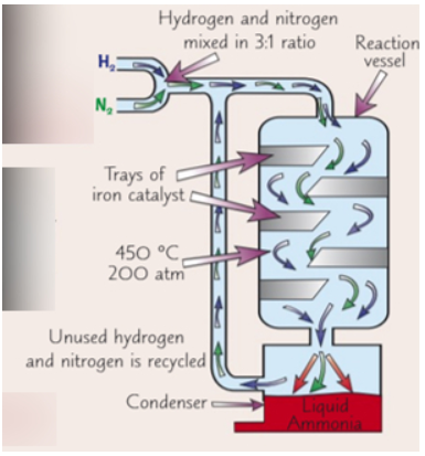 <p>reaction vessel</p><p><span style="background-color: transparent;"><span>200atm means 200 atmospheres&nbsp;&nbsp;</span></span></p>