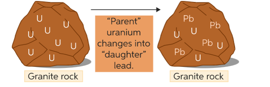 •This is used to find the age of igneous rocks

•Igneous rocks with a half-life of 4500 million years

•Each uranium atoms decays into an atom of lead

•The age of the sample can be worked out by measuring the number of atoms of uranium and lead