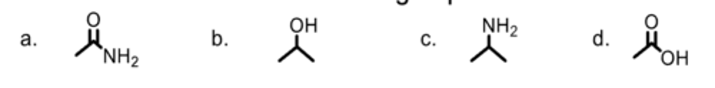 <p>Which is an amide functional group?</p>