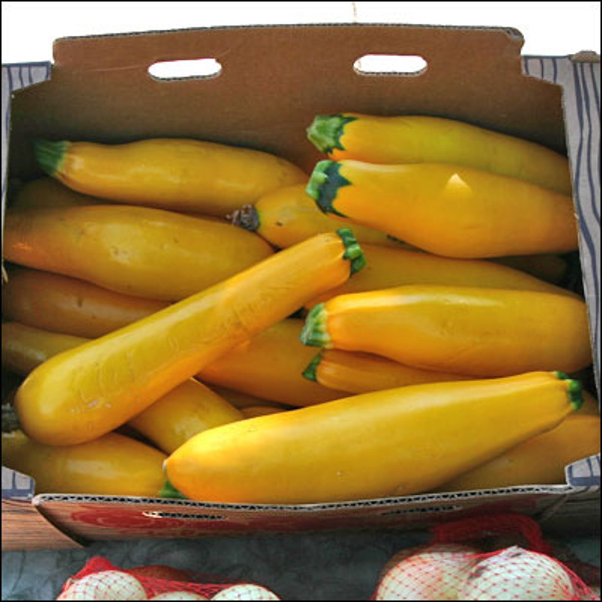 <p>a soft vegetable that grows on vines</p>