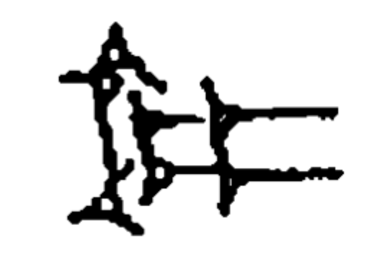 term image