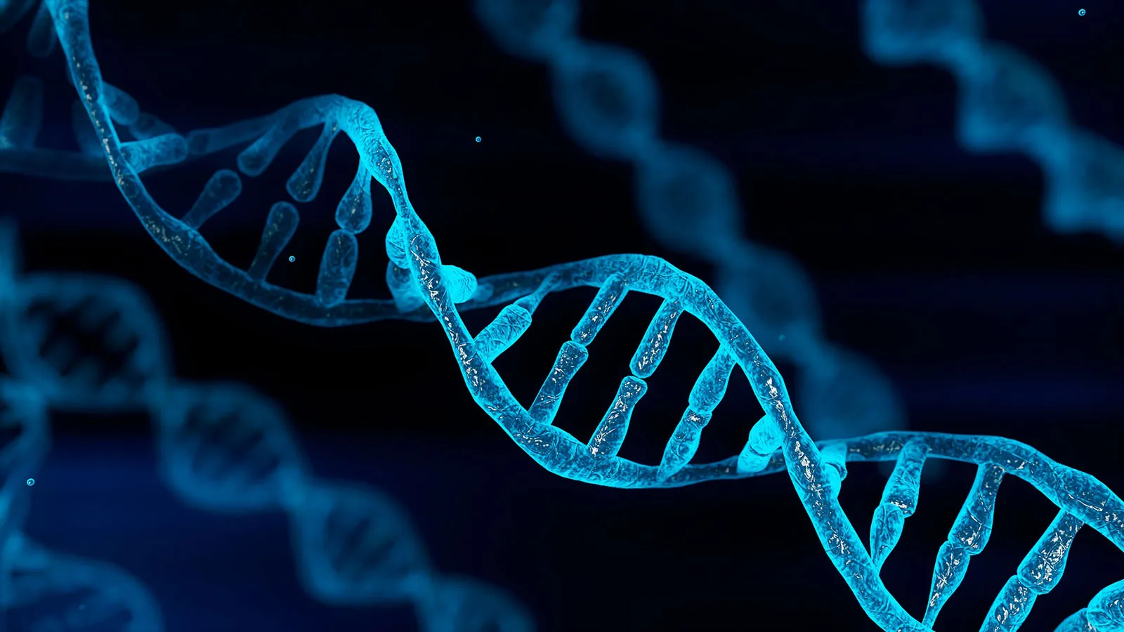 <p>Genetic info (animal, plant, bacteria)</p>