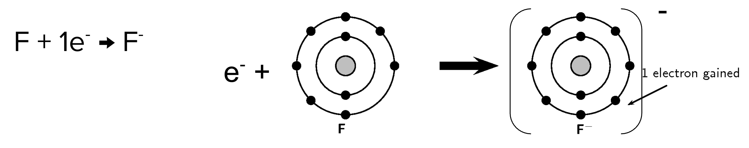 <ul><li><p><span style="background-color: transparent; font-family: "Proxima Nova", sans-serif;">Atoms will lose or gain electrons (react) so that they are <strong><em>isoelectronic</em></strong> with the nearest noble gas</span></p></li><li><p><span style="background-color: transparent; font-family: "Proxima Nova", sans-serif;">This makes the atom stable as its orbits are full</span></p></li><li><p></p></li></ul><p></p>