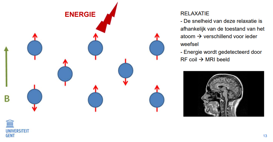 <ul><li><p>toestand van het atoom</p><ul><li><p>vrij of gebonden?</p></li><li><p>welke atomen / moleculen in de buurt?</p></li></ul></li><li><p>snelheid van de relaxatie verschilt; dus ook ontvangen signaal verschillend van weefsel tot weefsel</p></li></ul><p></p>