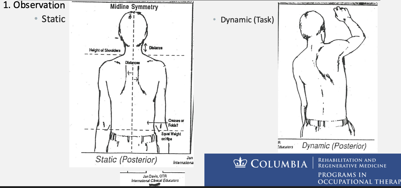 <ul><li><p><strong><u>observations</u></strong></p><ul><li><p><strong><u>static</u></strong></p></li><li><p><strong><u>dynamic</u></strong> (<strong><u>task</u></strong>)</p></li></ul></li><li><p><strong><u>Observed postures may be the result of a variety of problems</u></strong>:</p><ul><li><p><strong><u>Posterior pelvic tilt</u></strong></p></li><li><p><strong><u>Lateral flexion</u></strong></p></li><li><p><strong><u>Rotation</u></strong></p></li></ul></li><li><p><strong><u>Control of selective movement patterns</u></strong></p><ul><li><p><strong><u>Trunk flexors</u></strong></p></li><li><p><strong><u>Trunk extensors</u></strong></p></li><li><p><strong><u>Lateral flexion</u></strong></p></li><li><p><strong><u>Rotation</u></strong></p></li></ul></li><li><p><strong><u>Assistance level for (1) static sitting balance/(2) dynamic sitting balance</u></strong></p><ul><li><p><strong><u>Independent static/dynamic sitting balance</u></strong>: <strong><u>requires no physical or verbal cues</u></strong></p></li><li><p><strong><u>Supervision</u></strong>: <strong><u>requires supervision</u></strong> (<strong><u>verbal cues</u></strong>) <strong><u>with no physical assist</u></strong></p></li><li><p><strong><u>Contact guard (CG)</u></strong>: <strong><u>touching assist</u></strong></p></li><li><p><strong><u>Minimal (min) assist</u>: <u>25% assist</u></strong></p></li><li><p><strong><u>Moderate (mod) assist</u></strong>: <strong><u>50% assist</u></strong></p></li><li><p><strong><u>Maximal (max) assist</u></strong>: <strong><u>75% assist</u></strong></p></li><li><p><strong><u>Total assist</u></strong>: <strong><u>100% assist</u></strong></p></li></ul></li></ul><p></p>