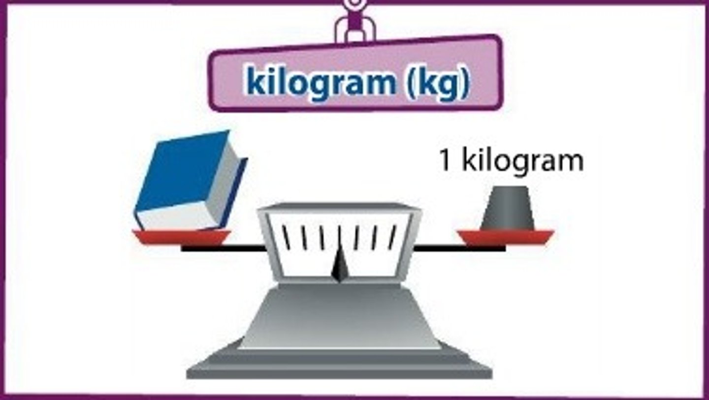 <p>kilogram</p>
