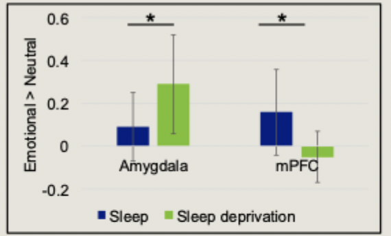 <ul><li><p>sleep deprived participants showed greater amygdala activity and reduced PFC activity when viewing negative images</p></li></ul><p></p>