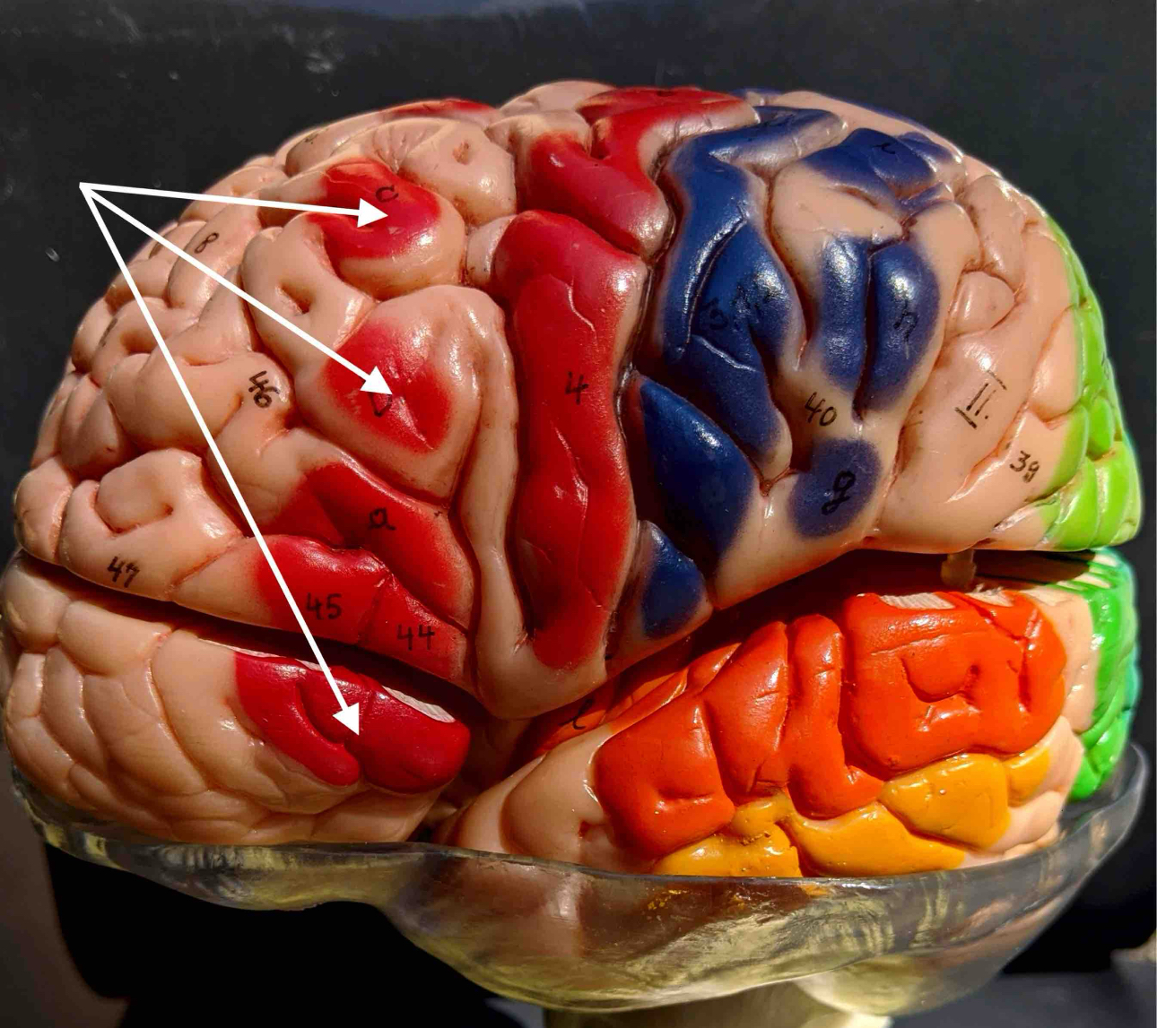 <p>What area is this</p>