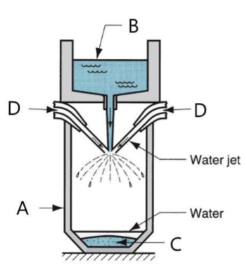 <p>label d</p>