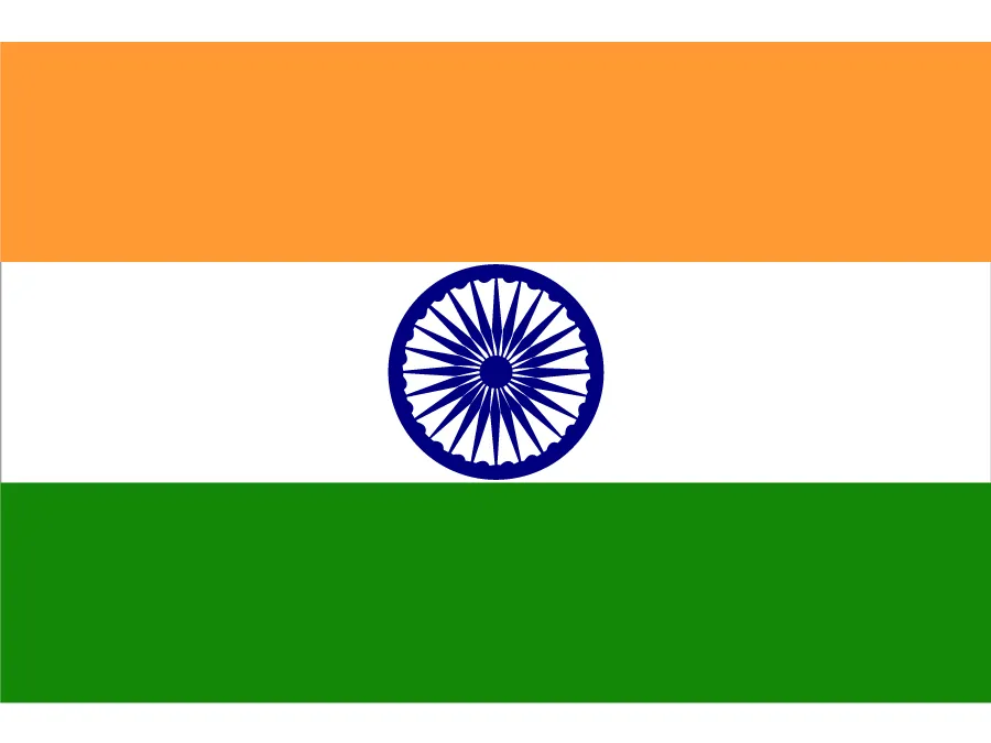 <p><strong>India</strong></p>