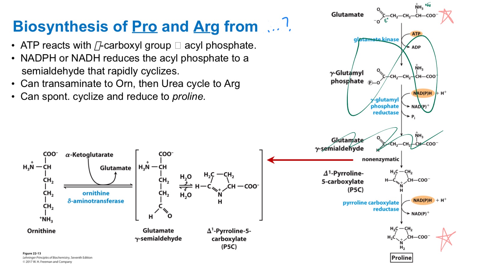 <p>… from _</p><p>MEMORIZE PIC</p>