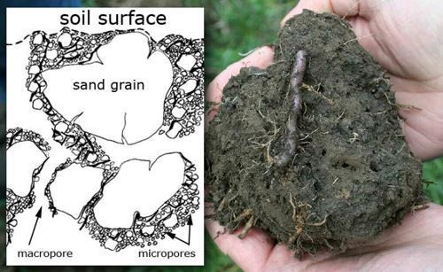 <p>Aggregates of individual soil particles formed by clumping from electrostatic attraction and binding by organic materials.</p>