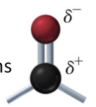 <ul><li><p>carbonyl group has partially negative oxygen atom and a partially positive carbon atom</p></li><li><p>makes it polar</p></li></ul><p></p>