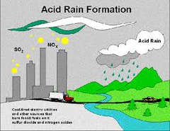 <p>Acid rain. Sulfur Dioxide reacts with water vapor to form sulfuric acid in rain.</p>