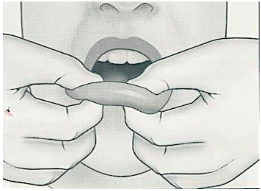 <p>Uses finger and thumb of same hand</p><p>use of two fingers either of the same hand or 1 finger from each hand</p><p>(palpate the lips)</p>