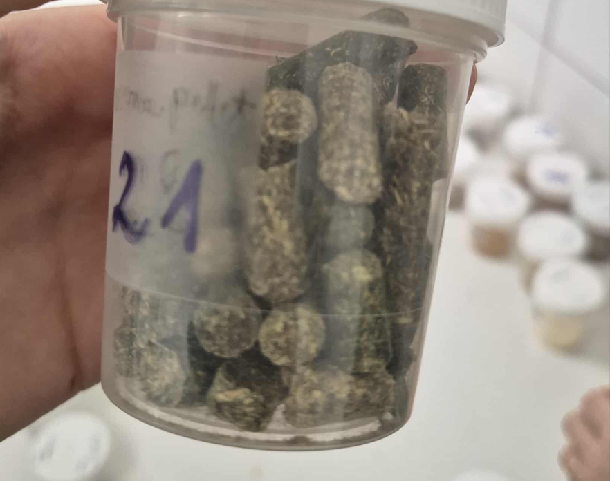 knowt flashcard image