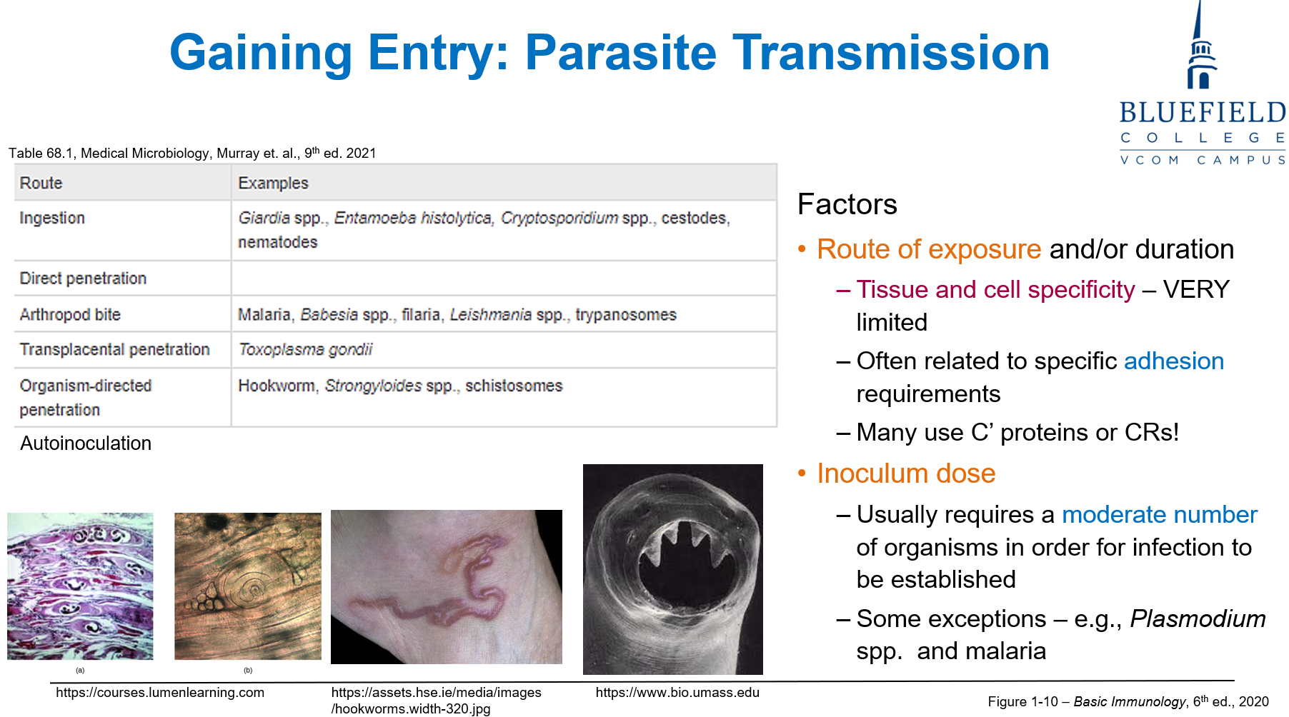 <p>B. Parasites bind specific host molecules for attachment<br></p><p>Parasites require <strong>specific tissues</strong> using <strong>adhesins and receptors</strong> to <strong>initiate infection</strong>.</p>