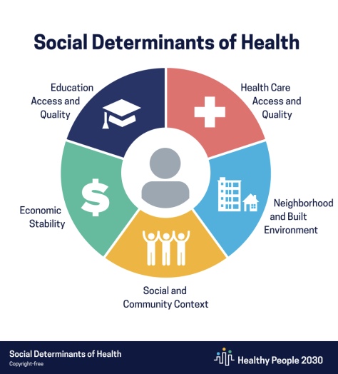 <ul><li><p>non-medical factors that influence a person’s health and wellbeing</p></li><li><p>heavily influenced by race and class</p></li><li><p>can influence gene expression</p></li></ul><p></p>