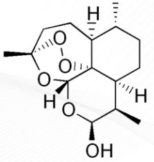 <p>ARTEMISININ ANTIMALARIALS</p>