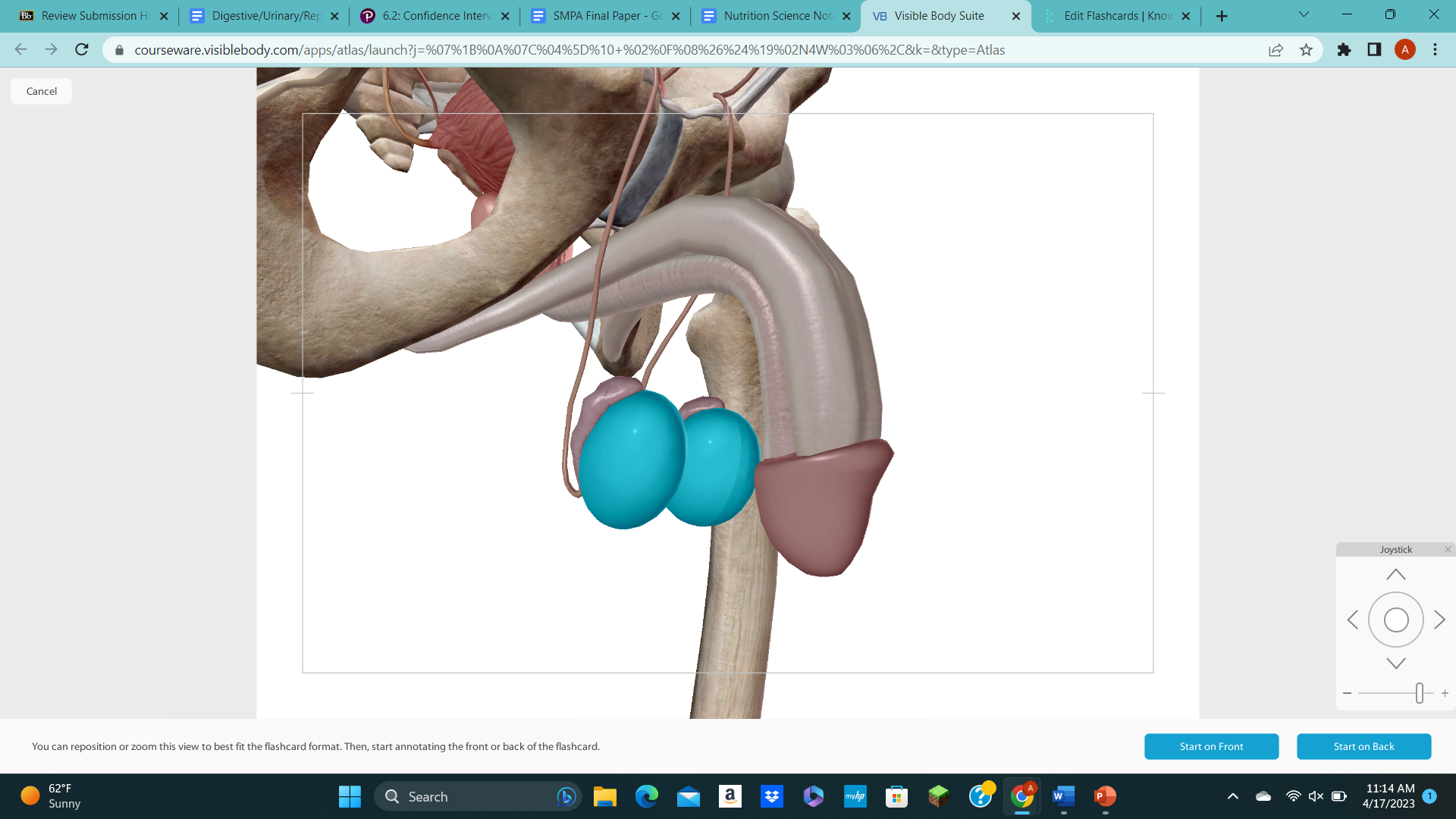 knowt flashcard image