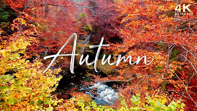 <p>Autumn</p>