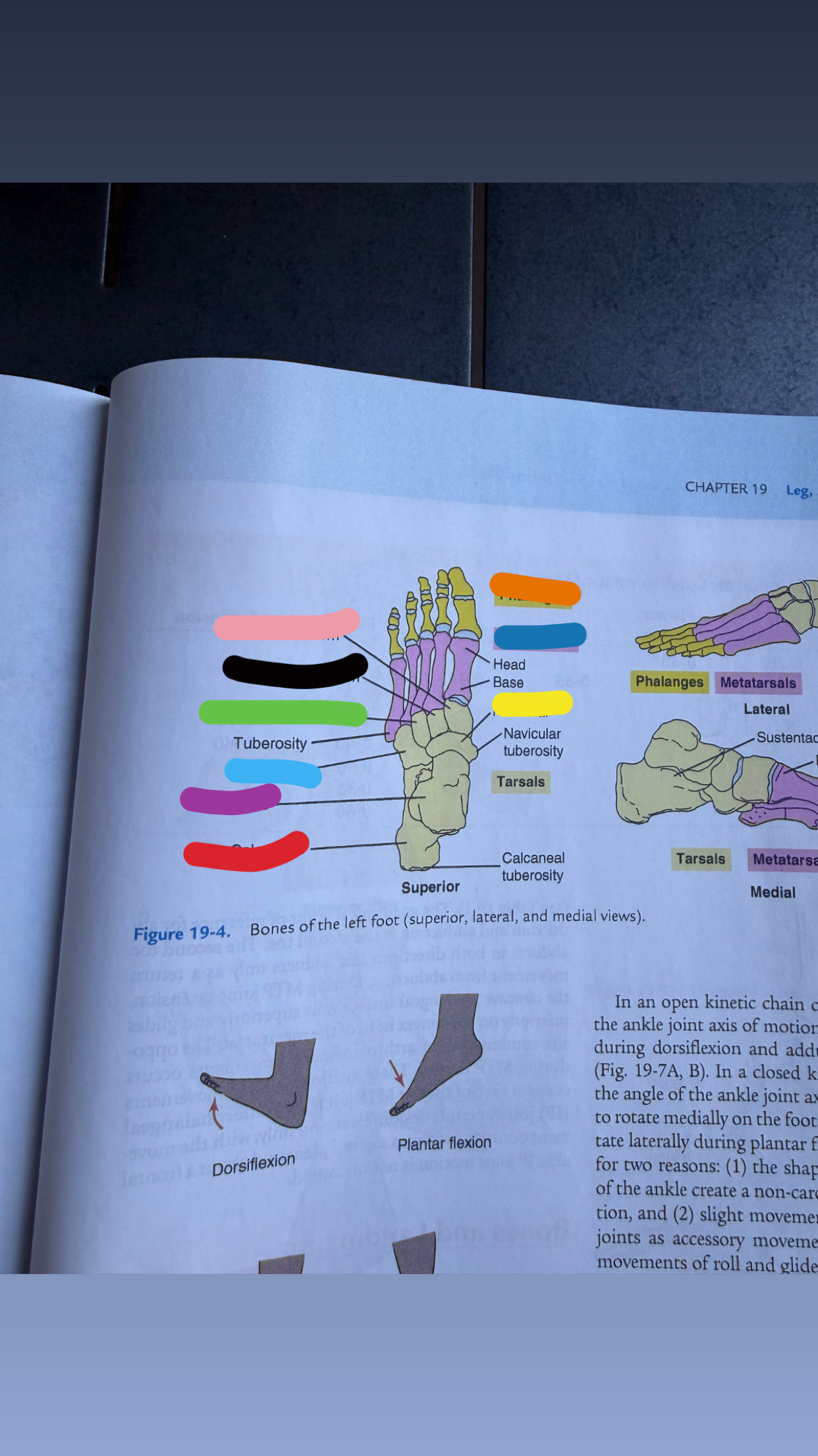 <p>what is purple?</p>