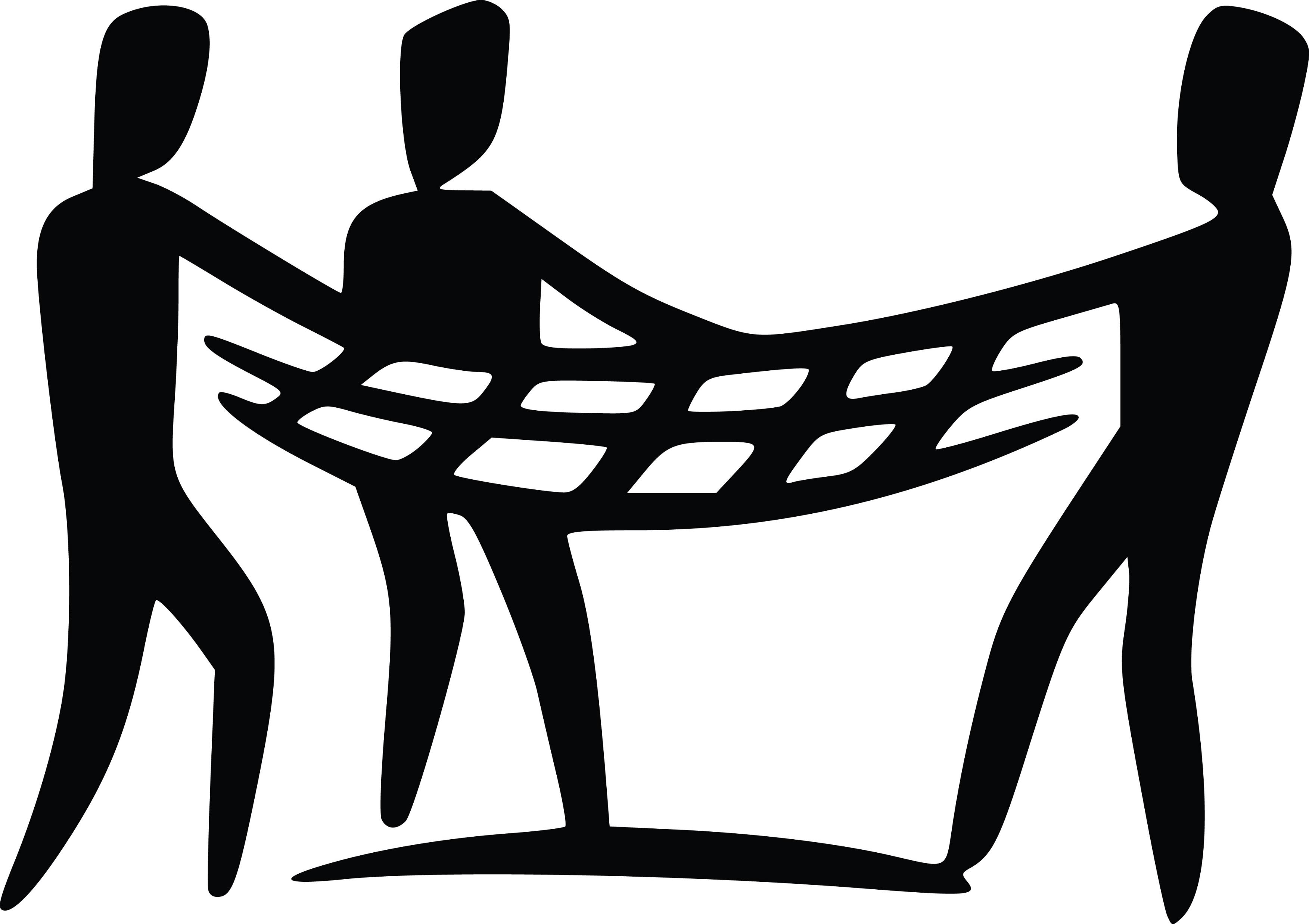 <p>Safety net</p>