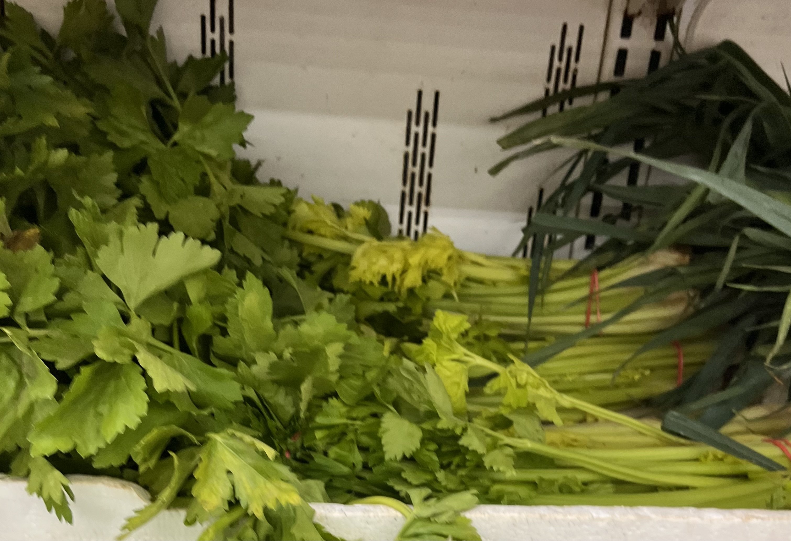 <p>CHINESE CELERY</p>